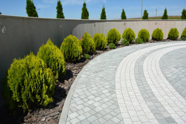 Best Residential Paver Driveway  in Independence, KS